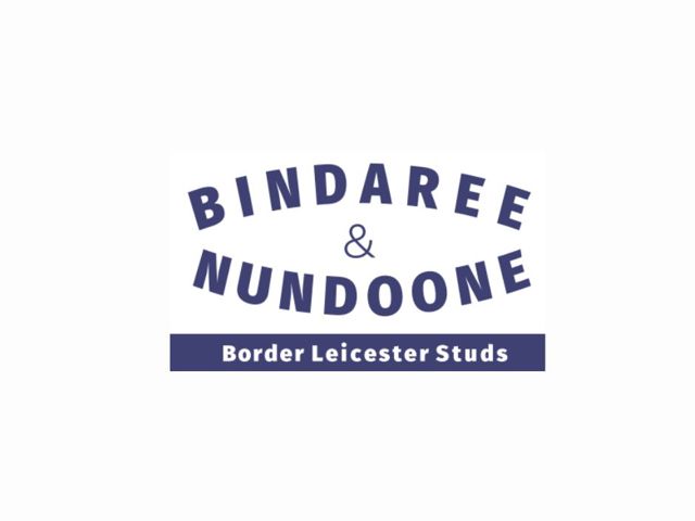 Bindaree & Nundoone Ram Sale