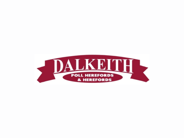 Dalkeith Hereford Annual Bull Sale